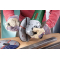 Bosch PWS 2000-230 JE Bosch PWS 2000-230 JE