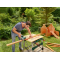 Bosch PKS 10,8 LI Set version