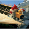 DeWalt D23700