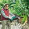 Bosch AKE 40-19 S + масло в подарок Bosch AKE 40-19 S + масло в подарок