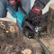 Makita UC3530A