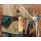 Makita 4604DW