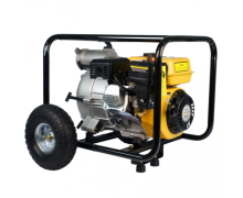 Forte FPTW30